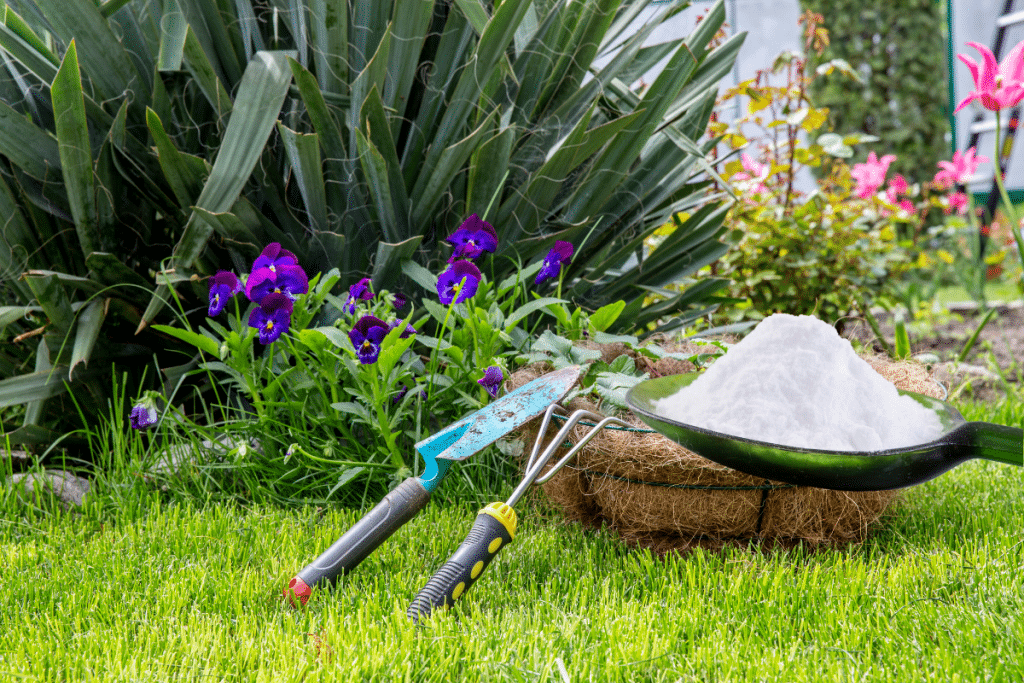 4 Utilisations Du Bicarbonate De Soude Dans Votre Jardin Pour Bien