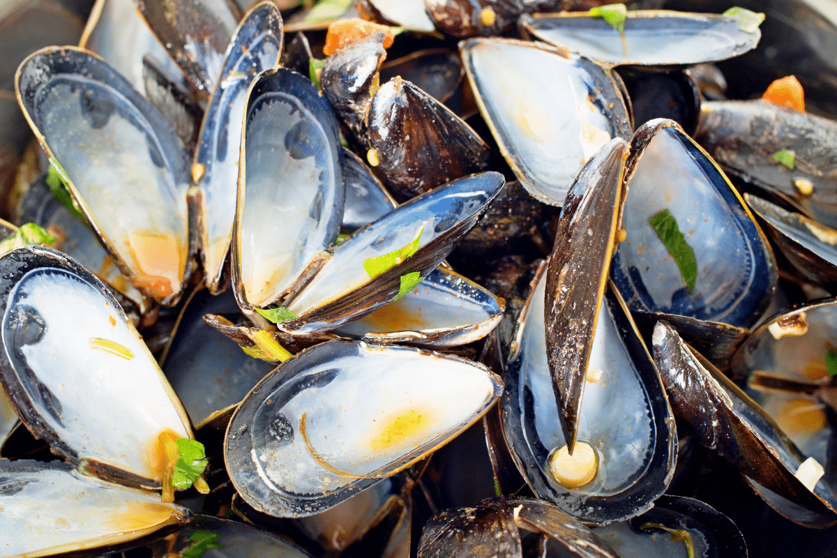 Pouvez Vous Placer Vos Coquilles De Moules Dans Le Compost Aiga