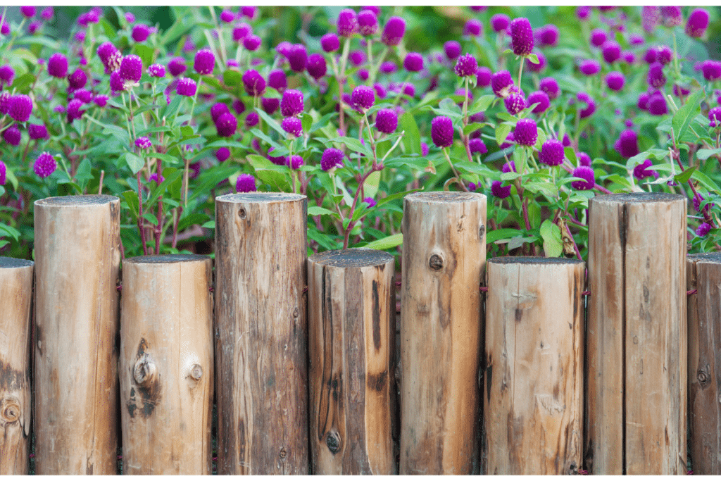 clôture en bois sans béton pour jardin