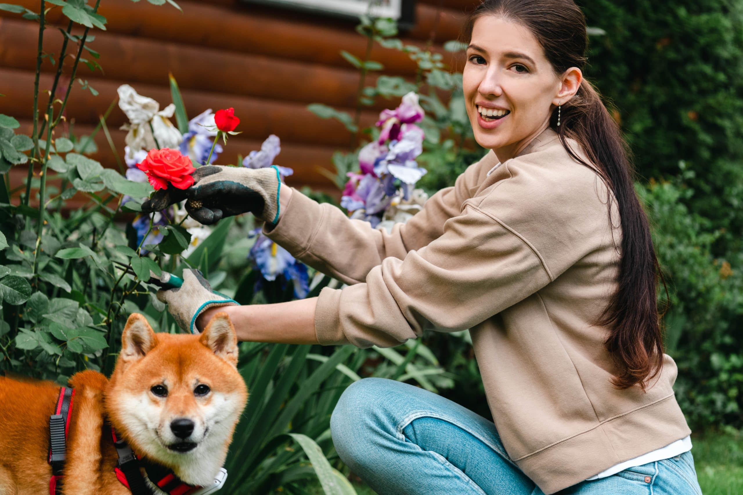 Une femme qui fait du jardinage avec son animal de compagnie