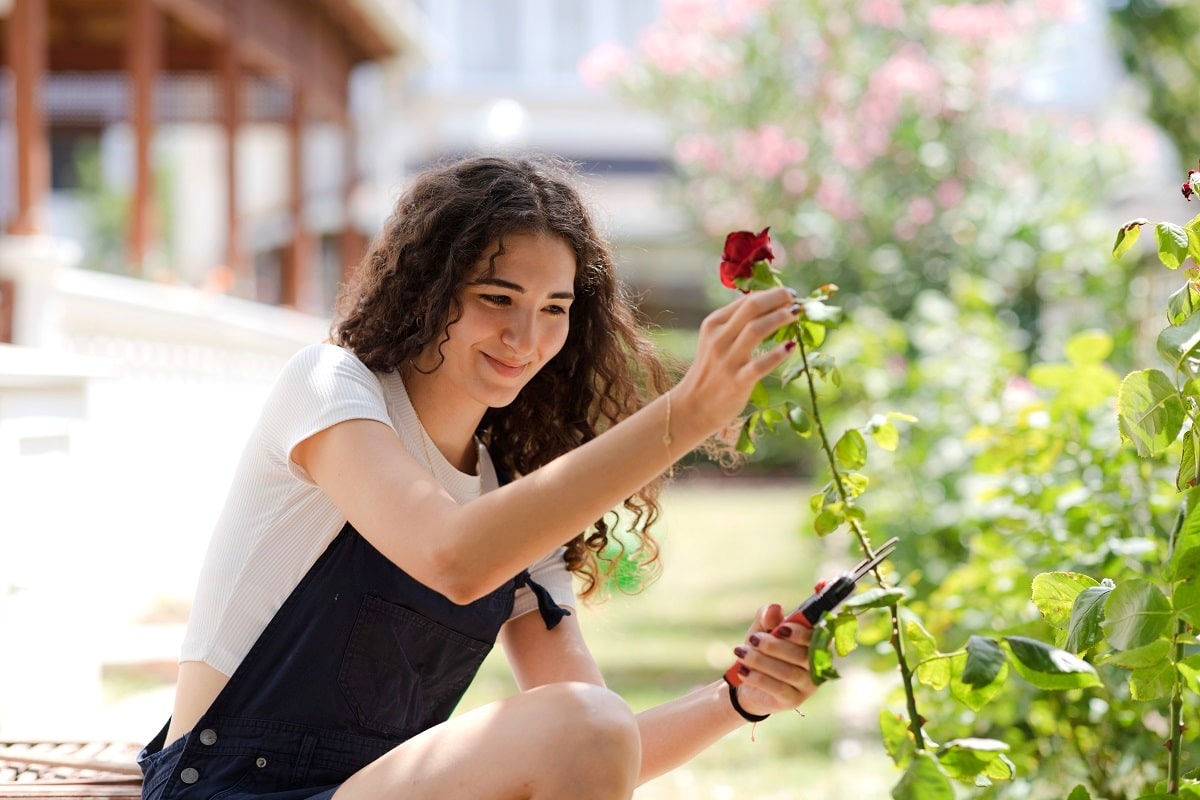 Femme avec un sécateur coupant des roses