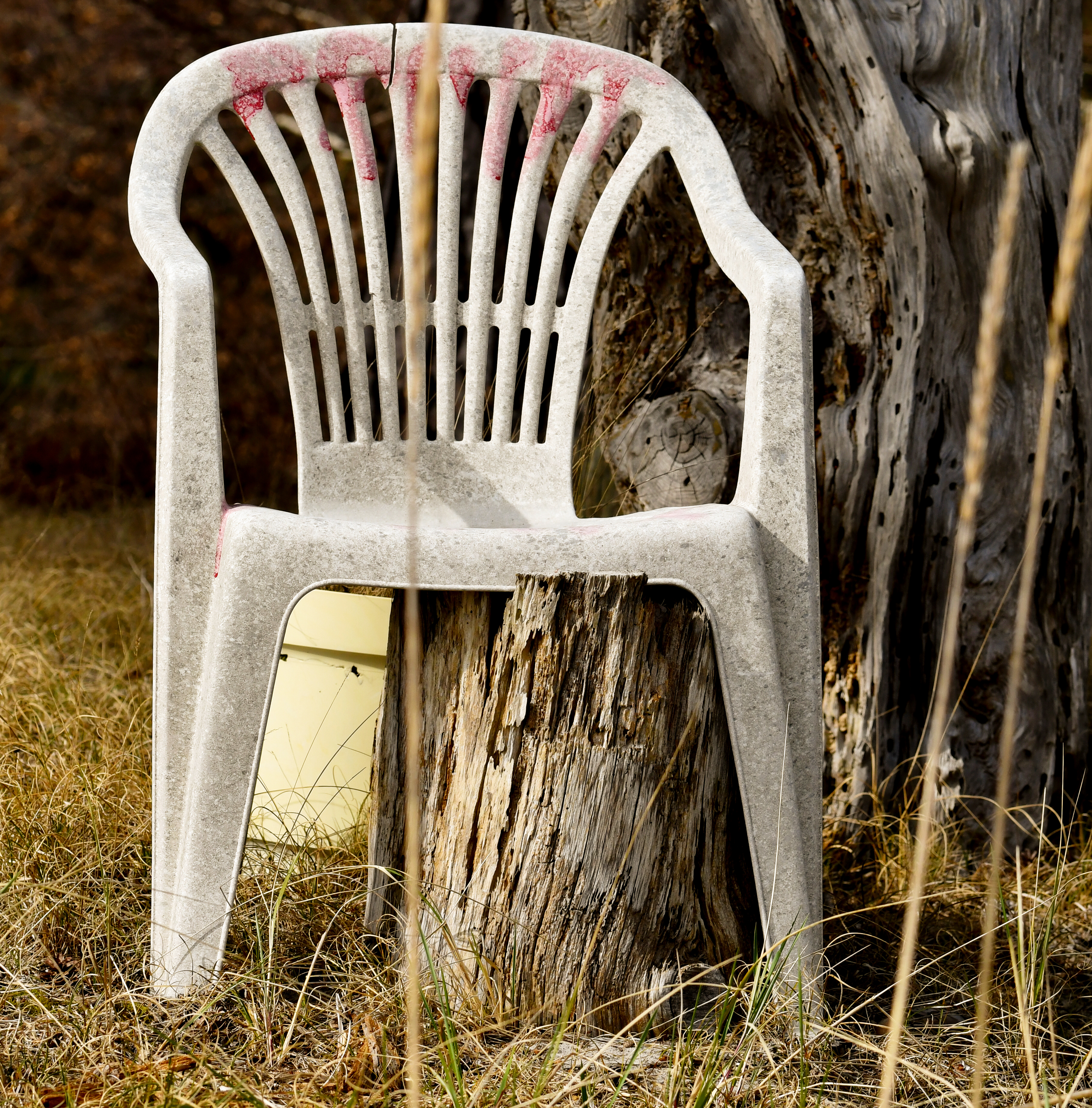 Chaise blanche salie au jardin