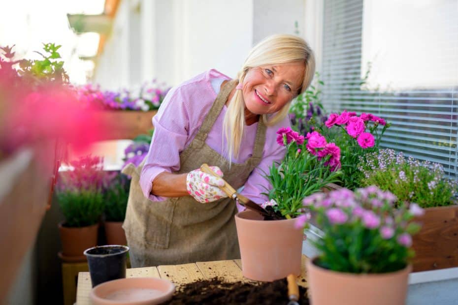 Plantation de fleurs au balcon