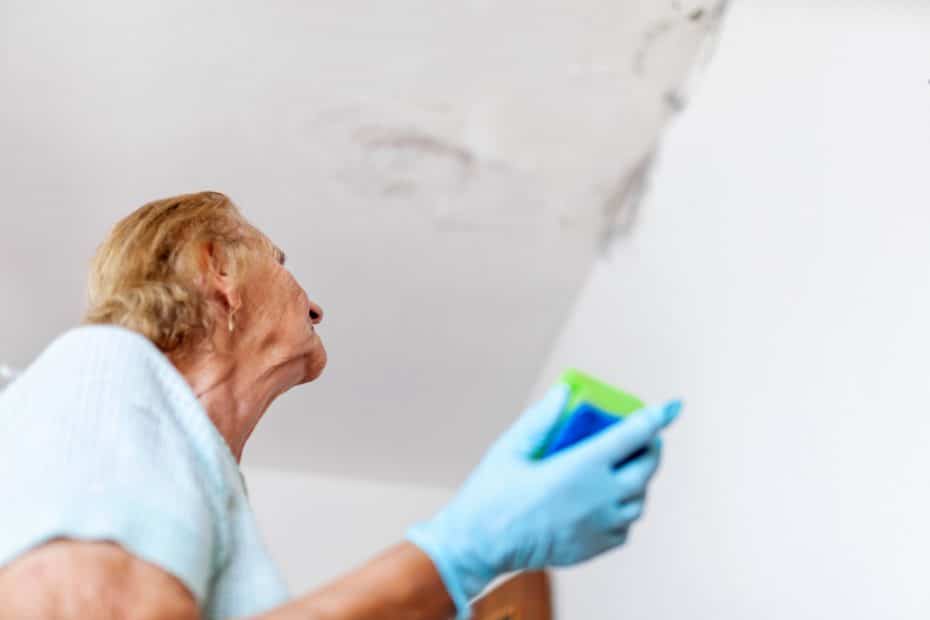 Senior nettoyant un plafond avec moisissure