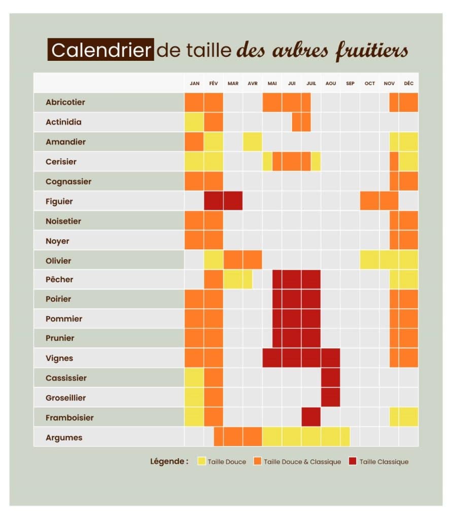 Calendrier de taille