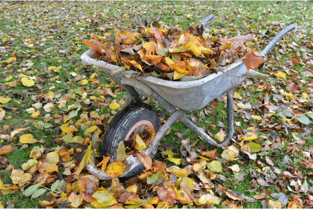 Entretien du sol : ratisser, collecter et ramasser les feuilles mortes et  les fruits au sol sans effort ! - Centre de presse - GARDENA