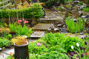 Jardin sous la tempête