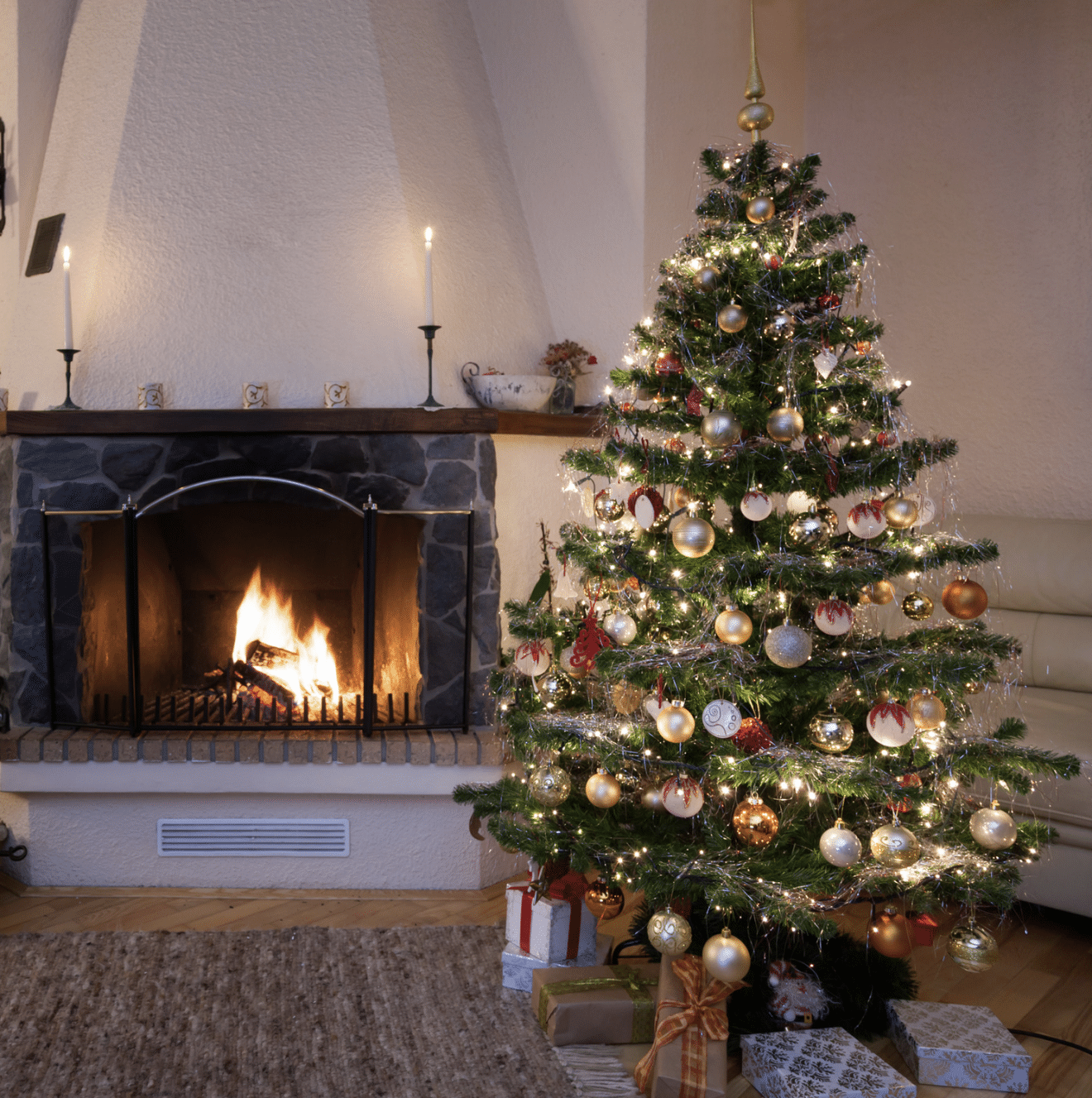 Voici le pire type de sapin à acheter pour Noël (il perdra ses