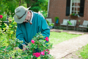 un homme qui plante