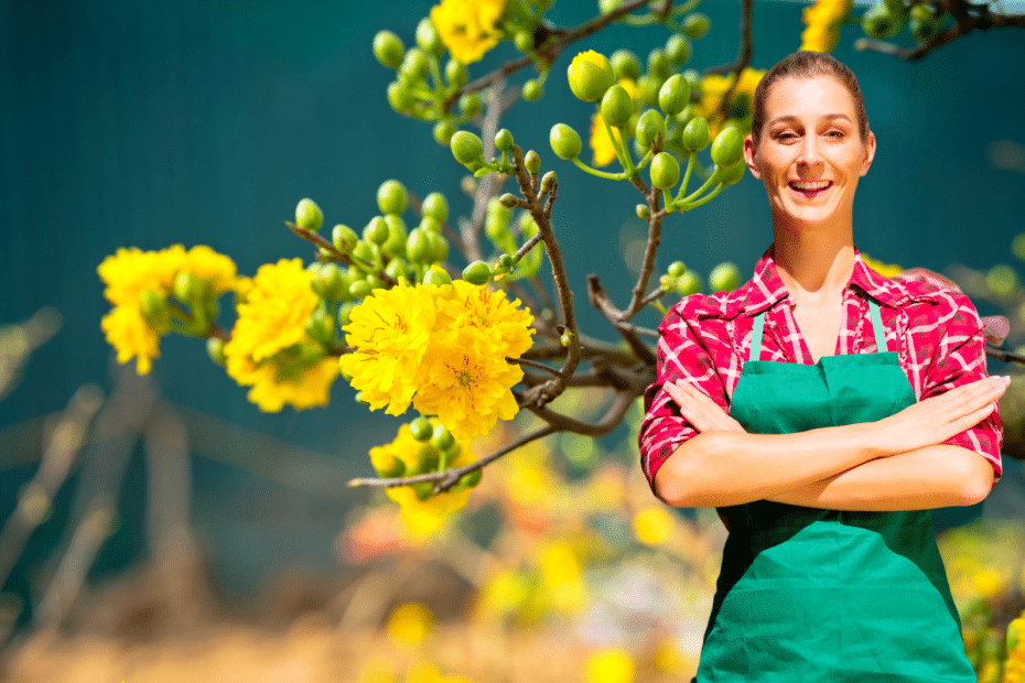 Arbuste à fleurs jaunes