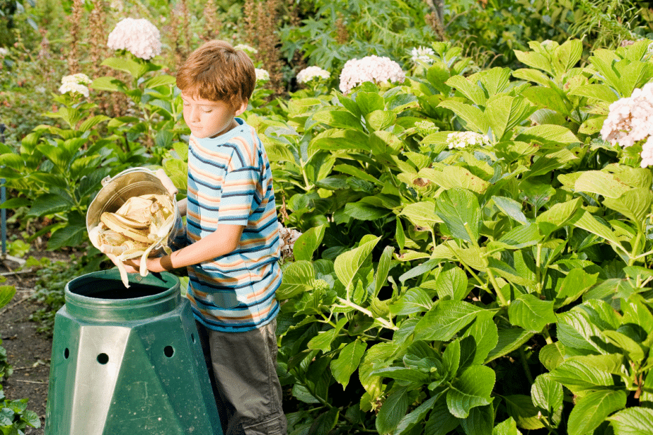 Bac à compost au jardin.