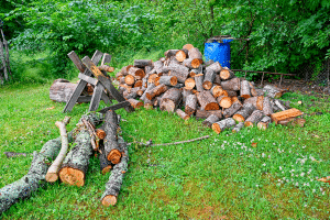 Bois de chauffage au jardin