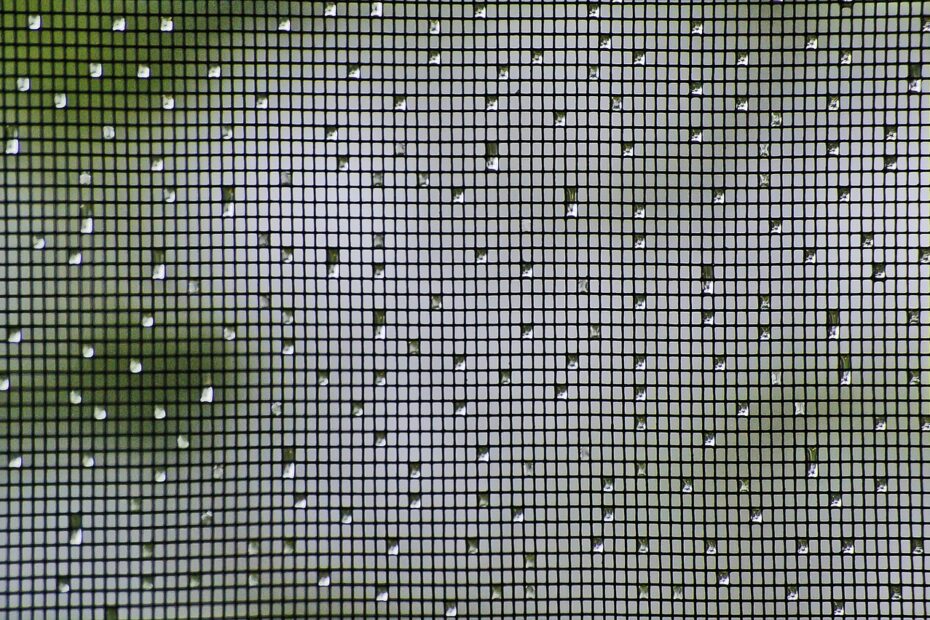 Installer une moustiquaire sur votre fenêtre pour un confort optimal
