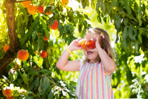 A child and peach tree.