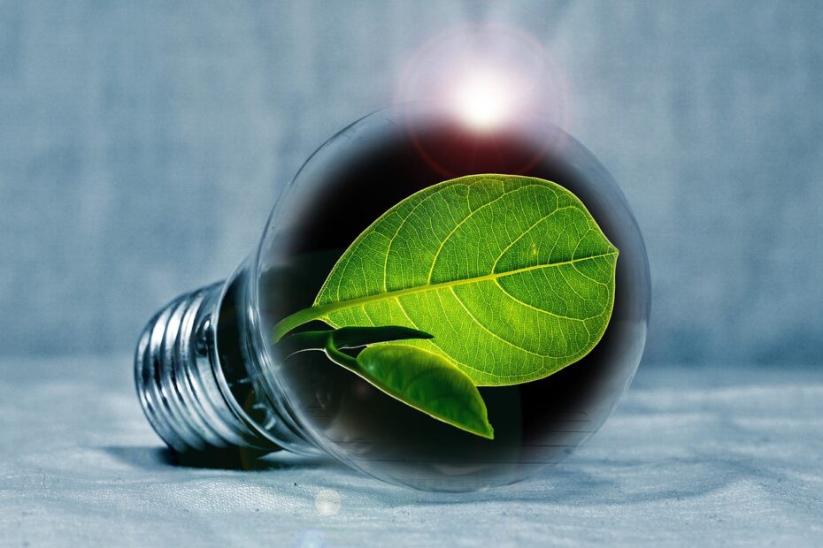 La révolution de la consommation électrique grâce à l'énergie verte