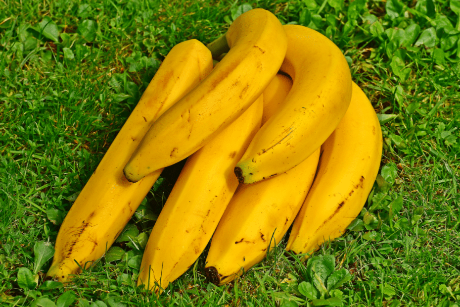 banane au jardin