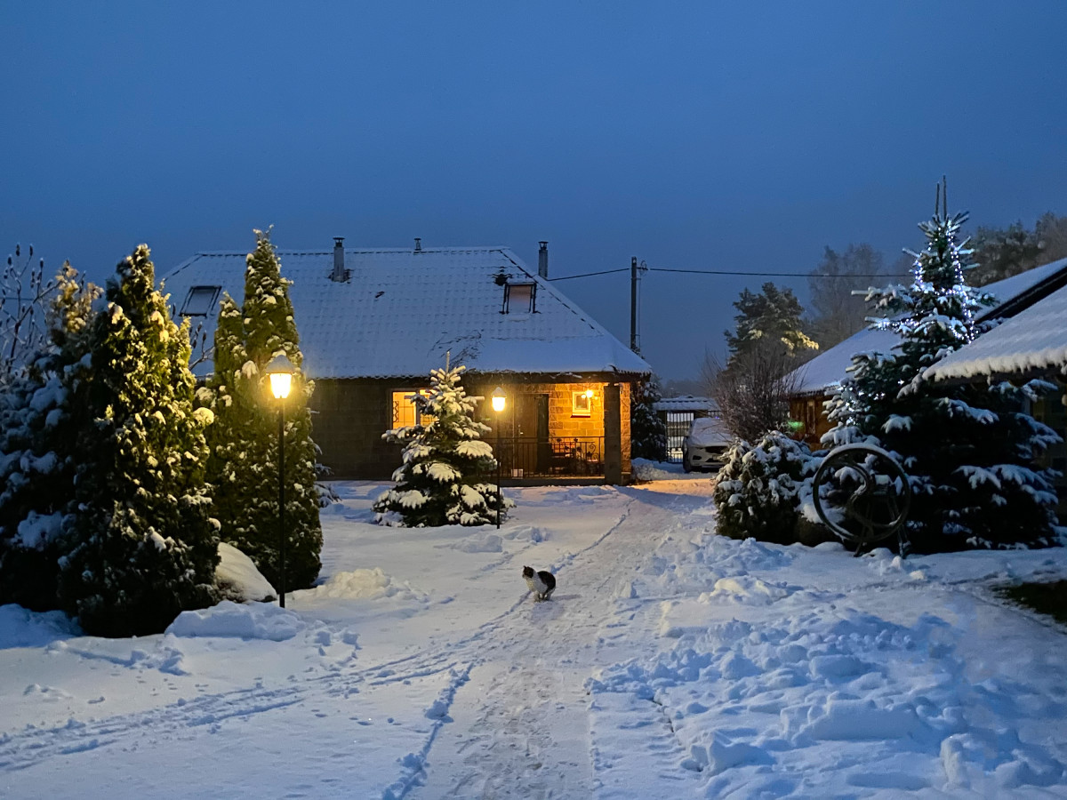 Assurance pour chalets en location