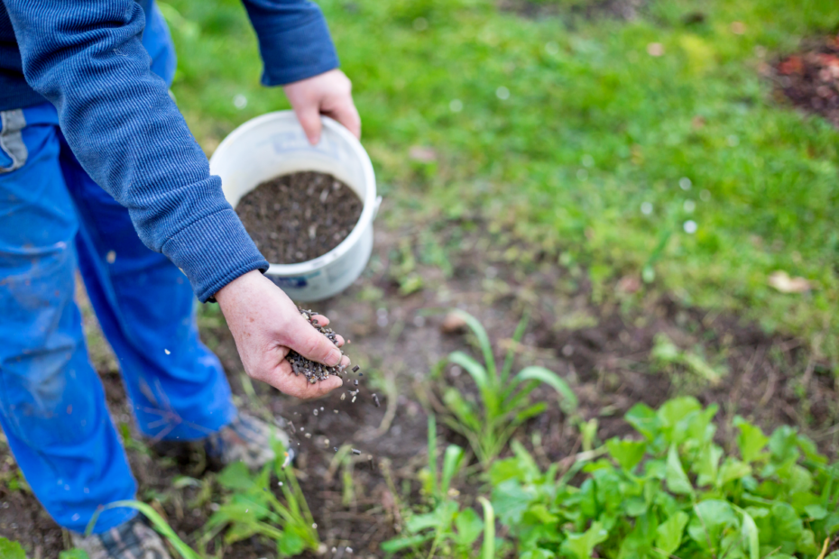 engrais pour un jardin