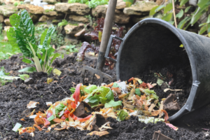 épluchures de légumes