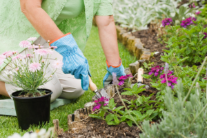  Faire des tâches de jardinage.