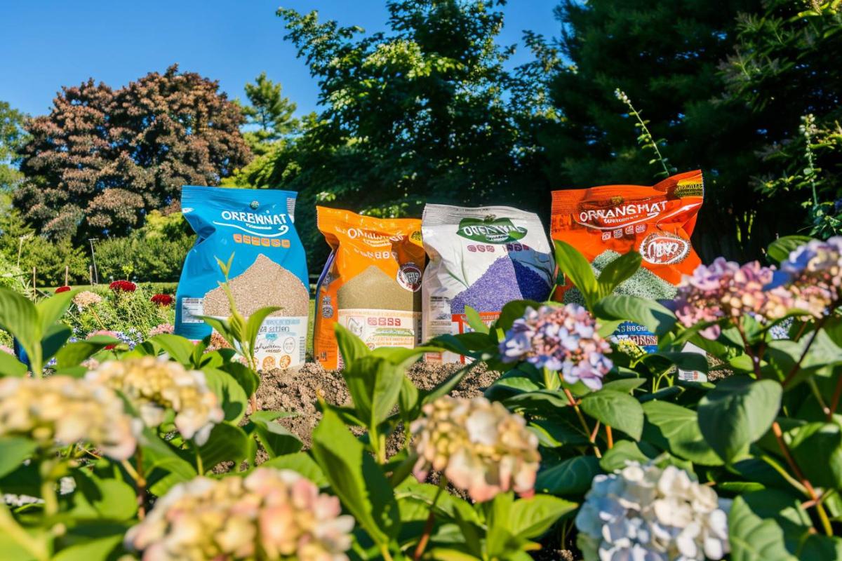 Trois engrais naturels idéaux pour nourrir vos hortensias et stimuler leur floraison en juillet