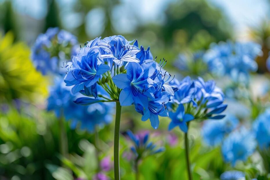 25 Fleurs bleues spectaculaires pour transformer votre jardin avec des nuances de bleu ciel, bleu électrique, bleu mauve et bleu violacé