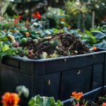 Les bienfaits du compost pour votre jardin