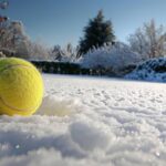 La balle de tennis, une astuce hivernale méconnue pour votre jardin