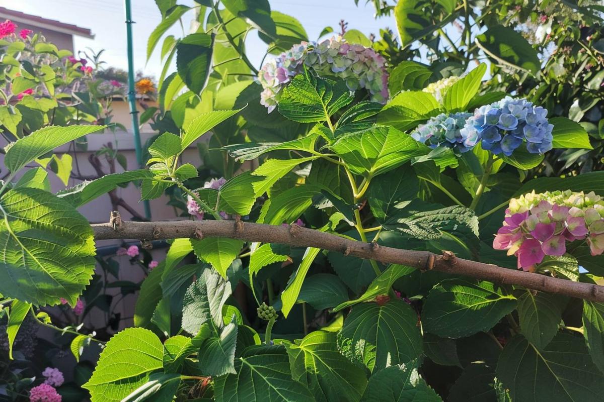 Préparez votre jardin printanier avec ces 6 boutures de janvier