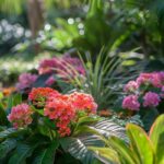 Évitez cette erreur courante lors de la plantation d'hortensias