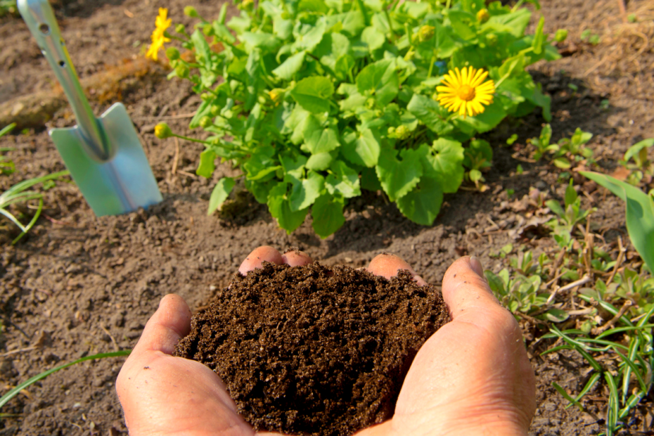 booster vos plantes avec un super engrais